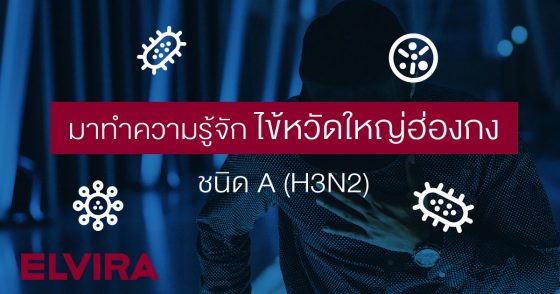 ไข้หวัดใหญ่ฮ่องกง ชนิด A (H3N2)