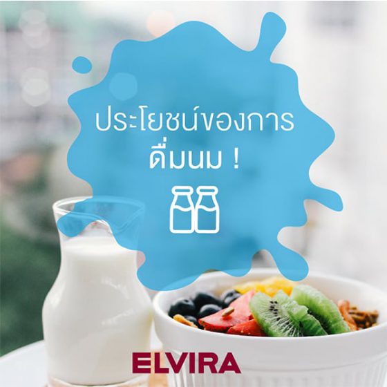 ประโยชน์ของการดื่มนม - Elvira | Leading Lifestyle Household Appliances